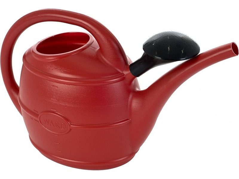 Ward Value Watering Can 10L