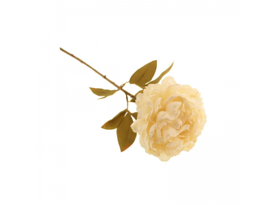 78cm Dried Peony Single - White