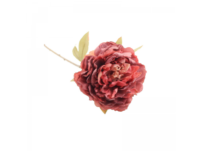 78cm Dried Peony Single - Brown