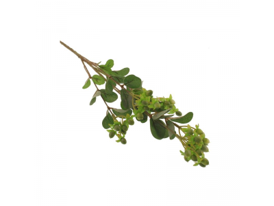 70cm Hypericum Spray - Green