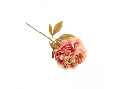 78cm Dried Peony - Pink