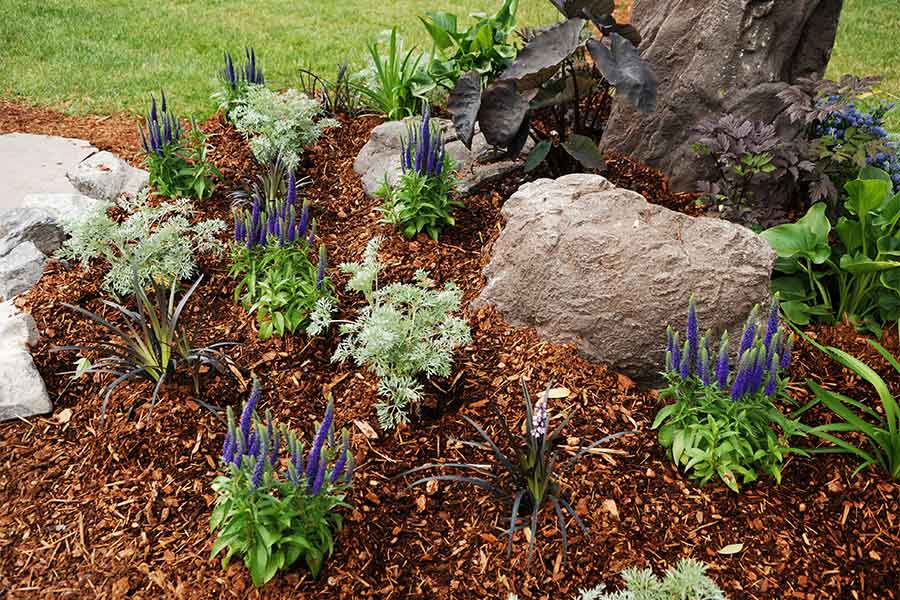 Mulching flower beds is a natural way to suppress weeds