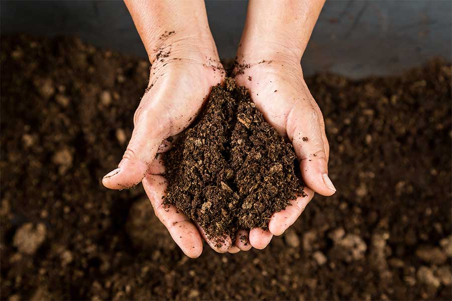 A gardener holding peat free compost in their hands