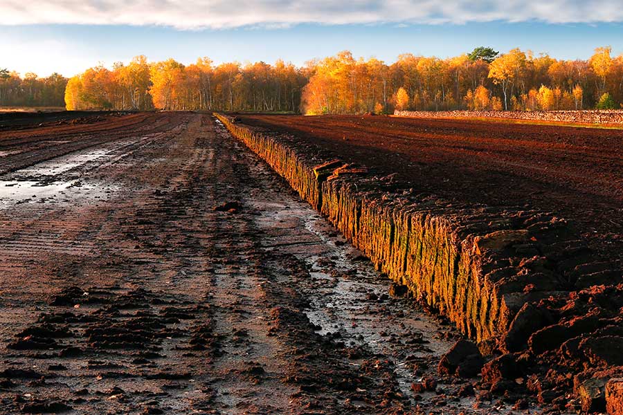 A huge peat bog being excavated for the production of garden compost