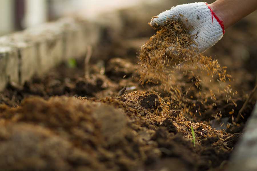 Peat free compost containing bark and rich organic matter